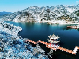 阳明山攻略(阳明山怎么样)