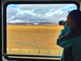 我想有一场说走就走的旅行图片(我想要来一场说走就走的旅行英文)