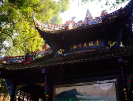 成都当地一日游旅游团(成都当地一日游旅游团有哪些)