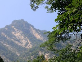 太平峪旅游日记(太平峪旅游日记400字)