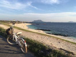 三闺蜜说走就走的旅行(三闺蜜说走就走的旅行文案)