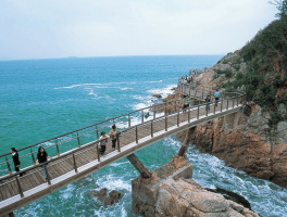 深圳骑自行车的旅游区域(深圳骑自行车的旅游区域在哪里)