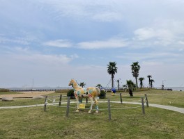 金山城市沙滩(上海金山城市沙滩)