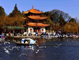 云南旅行最值得去的地方排序(云南旅行最值得去的地方排序图)