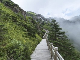 神农架几月份去旅游好(神农架在哪个省哪个市哪个县)