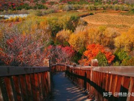 北京22个冷门景点(带孩子去北京必去的地方)
