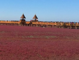 8月份辽宁去哪里旅游好(辽宁省七八月份旅游胜地)