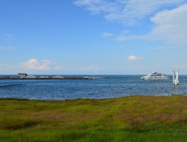 梦见骑自行车去青海湖旅游(梦见骑自行车去青海湖旅游了)