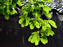 3月份是梅雨季节吗(3月份是梅雨季节吗为什么)