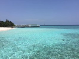 马尔代夫自助游(马尔代夫自助旅游攻略)
