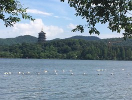 杭州三潭印月(杭州三潭印月图片全景)