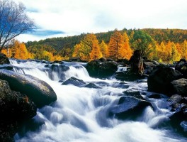 阿尔山在哪(阿尔山在哪里)