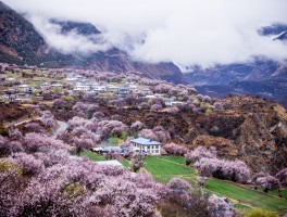 3到4月份去哪里旅游(34月份去哪里旅游最好要有海边的)