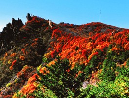 祖山风景区(祖山风景区门票优惠政策)