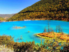 国内旅行最值得去的地方(国内最值得一去的旅游地top10)