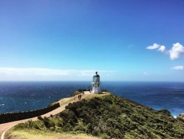 新西兰旅游无犯罪记录吗(新西兰旅游最佳时间及景点)
