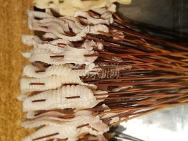 烧烤的菜有哪些品种荤菜(油炸烧烤有哪些菜品种图片)