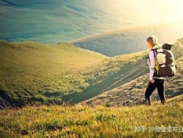 对大学生说走就走旅行的看法(对大学生说走就走旅行的看法怎么写)