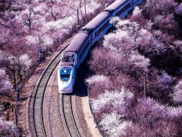北京3月去哪里旅游(北京3月去哪里旅游合适)