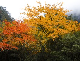 东拉山大峡谷(东拉山大峡谷旅游攻略)