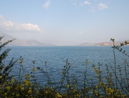 南诏风情岛(南诏风情岛在哪里)