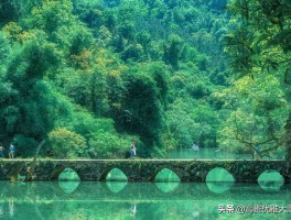 荔波旅游(荔波旅游攻略最佳线路)