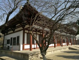 青龙寺攻略(青龙寺几个门怎么走)