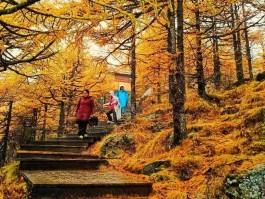 国庆节来一场说走就走的旅行(国庆节来一场说走就走的旅行说说)