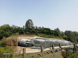 三水森林公园(三水森林公园游玩攻略)