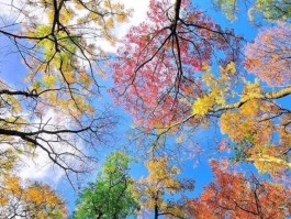 黄山市娱乐场所消息(黄山市娱乐会所m小费多少)