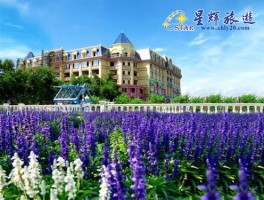广州百万葵园门票(广州百万葵园门票老人有优惠吗?)