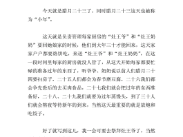 芽庄旅游日记300字(芽庄旅游日记300字左右)