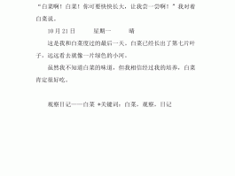 国庆旅游观察日记理论(国庆旅游观察日记理论实践)
