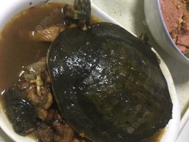 王八的做法(王八的做法及食用方法照片)