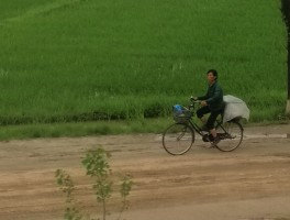 包含骑自行车朝鲜旅游现在还可以吗的词条