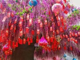 2023春节适合去旅游吗(2023春节适合去旅游吗请问)
