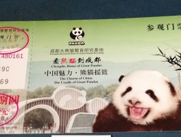 成都大熊猫基地门票多少(成都大熊猫基地门票多少元)