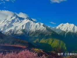 林芝旅游攻略(西藏林芝旅游攻略)