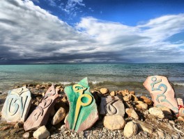 青海湖旅游资讯电话(青海湖旅游资讯电话号码)