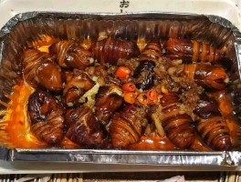 东北烧烤蚕蛹是什么品种(东北烧烤蚕蛹是什么品种的)