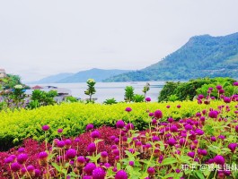 环球旅行一年只花三万(环球旅行一年只花三万正常吗)