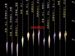 黄金眼浮标(黄金眼浮标官方电话是多少)