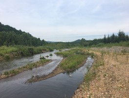 乌马河(乌马河鞭炮厂事件)