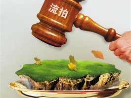 包含万科时隔4年半重回北京土拍市场拿地，总价27.4亿、溢价率10%，哪些信息值得关注？的词条
