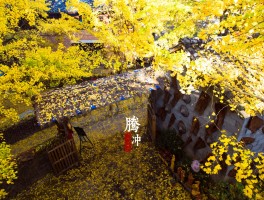 浙江五一去哪旅游最合适(浙江五一去哪旅游最合适呢)