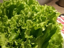 吃烧烤用哪个品种生菜(哪个品种生菜生吃最好吃)