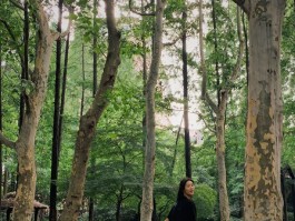 旅行小白拍照技巧教程图片(旅行小白拍照技巧教程图片高清)