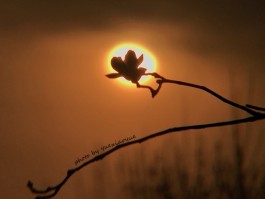 摄影人像图片主题三个关键点(摄影人像图片主题三个关键点是什么)