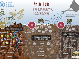土是(土是什么颜色)