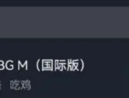 pubg国际服官网下载(pubg国际服正版手游下载)